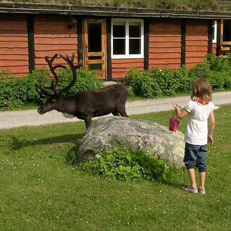 Femundtunet Drevsjø Exterior foto