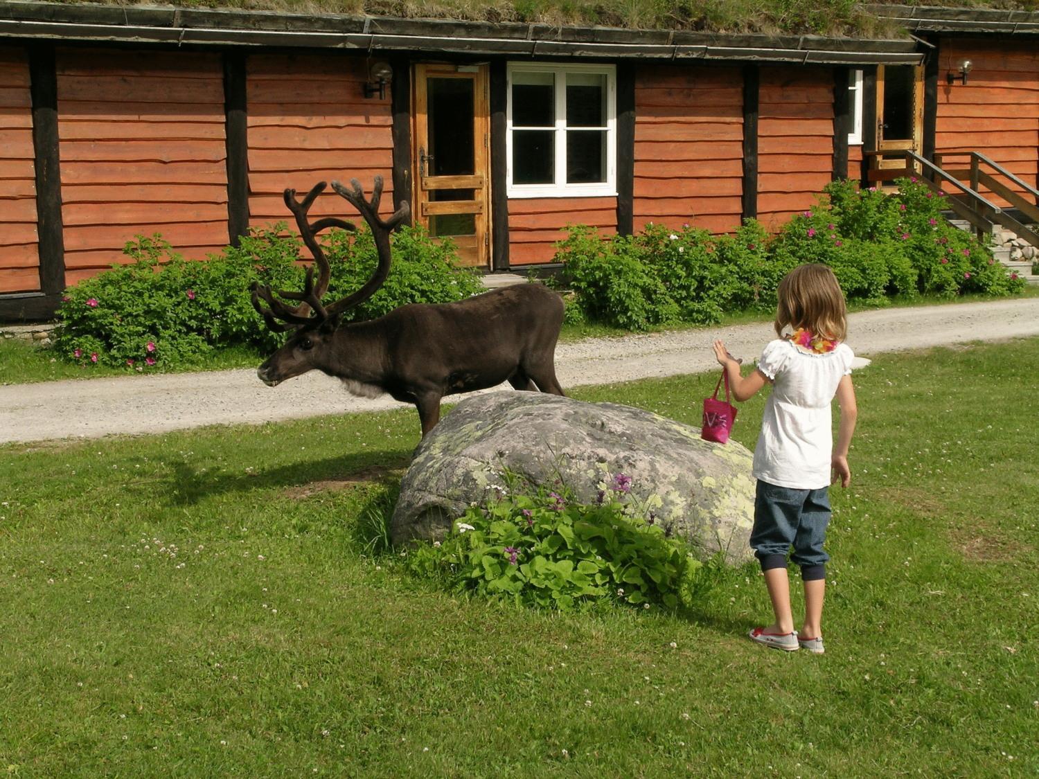 Femundtunet Drevsjø Exterior foto